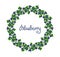 A wreath of blueberries. Ornament leaves and berries of bilberries on a branch. Decorative element Forest plant