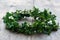 Wreath of boxwood branches