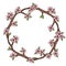 The wreath of cherry blossom branches. Sakura flowers.