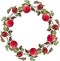 Wreath crimson apples leaves branches ornament   isolated