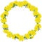 Wreath from dandelions