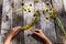 Wreath of dandelions flowers handmade on wood table