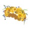 Wreath of dandelions. Spring wreath of flowers. Headpiece