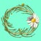 wreath with field camomile on aqua menthe background.