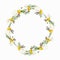 Wreath of field daisies on a white background.