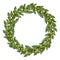 Wreath of fir tree branches with luminous garland. Christmas frame with glowing lights for greeting New Year and Christmas cards