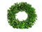 Wreath made of boxwood leaf wreath on white background