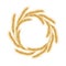 Wreath made of Wheat. Concept for organic products label, harvest and local farming, grain, bakery.