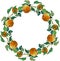 Wreath  orange  apples leaves branches ornamentisolated