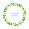 Wreath of white flowers with green leaves. Vector illustration of stevia