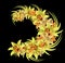 Wreath of yellow-orange lilies on the black background. Illustration of summer flowers in watercolor style.