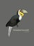 Wreathed Hornbill , hand draw sketch vector.