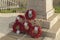 wreaths of poppies placed at rememberance day