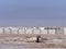 Wreck of an armored vehicle in Basra