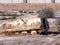 Wreck of an armored vehicle in Basra