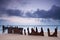 Wreck on australian beach at dawn