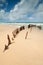 Wreck on australian beach during the day