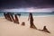 Wreck on australian beach at sunrise