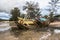 Wreck fishing boat damaged Parked on wetlands