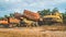 Wreck of heavy machinery in the junkyard of forestry company.