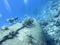 Wreck of old ship covered with coral reef at the bottom of tropical sea, underwater landcape.