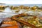Wreck of the SS Ethie on the beach. Gros Morne National Park Newfoundland Canada
