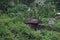 Wreckage of an American tank in Vietnam