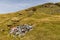 Wreckage of a Royal Canadian Air Force Wellington bomber R1465 on a remote Welsh hillside