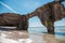 Wreckage of a sunken ship on the beach in the sand