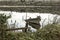 Wrecked and abandoned boat at West Loch, Tarbert in Argyle and Bute, Scotland.