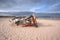 Wrecked fishing boat at crow point.