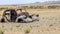 Wrecked Vintage Car in the desert