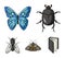 Wrecker, parasite, nature, butterfly .Insects set collection icons in cartoon style vector symbol stock illustration web