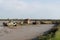 Wrecks in the cemetery of boats at low tide