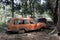 Wrecks of old cars among the trees in the forest