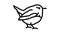 wren bird line icon animation