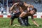 Wrestlers engaged in a close battle during competition at the Elmali Turkish Oil Wrestling Festival in Elmali in Turkey.