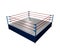 Wrestling ring