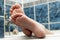 Wrinkled bare feet coming out from a bathtub. Young person getting a bath feet close-up indoor in bathroom interrior photo