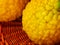 Wrinkled yellow lemon skin in a basket, Spain