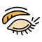 Wrinkles eyebrush eye icon color outline vector