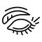 Wrinkles eyebrush eye icon, outline style