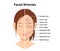 Wrinkles face and wrinkle-free face ( female face ) vector illustration