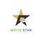 write star pencil ballpoint logo template design for brand or company and other