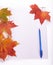 Writing-book, pen and autumn leaves.