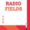 Writing note showing Radio Fields. Business photo showcasing electromagnetic field intensity consisting of an electric One man