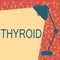 Writing note showing Thyroid. Business photo showcasing Gland in neck Secretes hormones regulating growth and