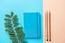 Writing Notepad Wood Pencils Green Plant Branch on Contrast Blue Peach Pink Pastel Color Background Combination.Business Education