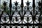 Wrought iron fence