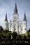 Wrought iron fence and Saint Louis Cathedral in New Orleans